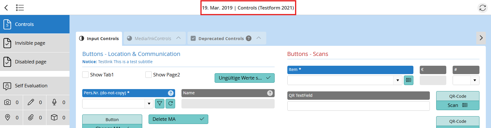 Custom Form Item header